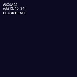 #0C0A22 - Black Pearl Color Image